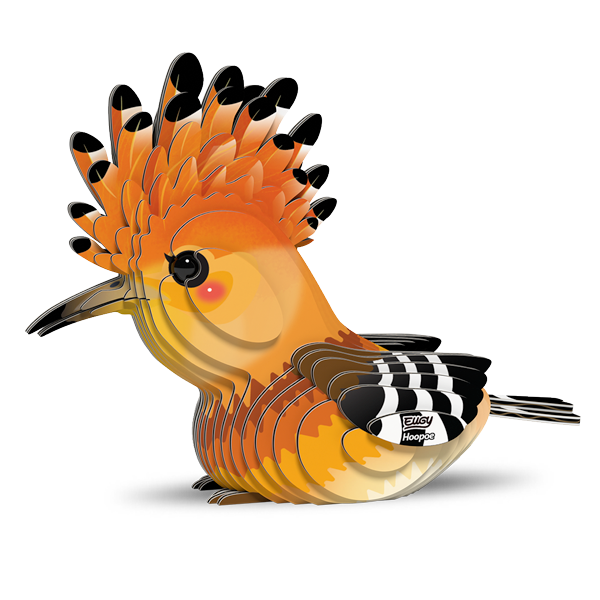105 Hoopoe