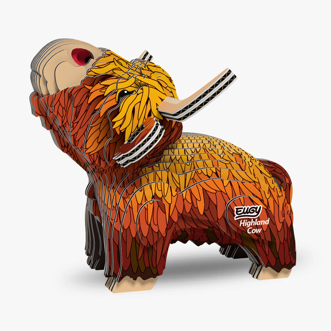 106 Highland Cow
