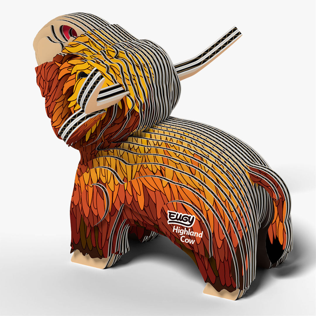 106 Highland Cow