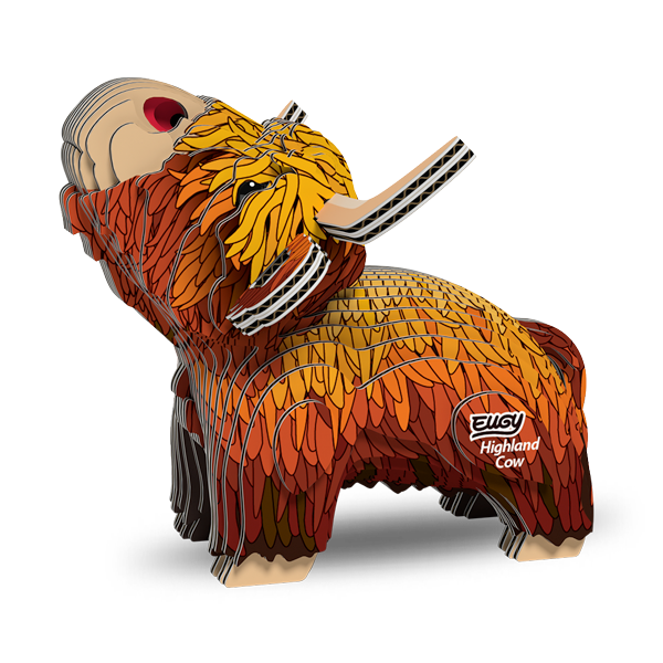 106 Highland Cow
