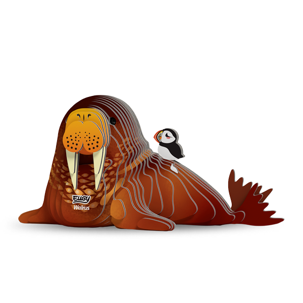 107 Walrus