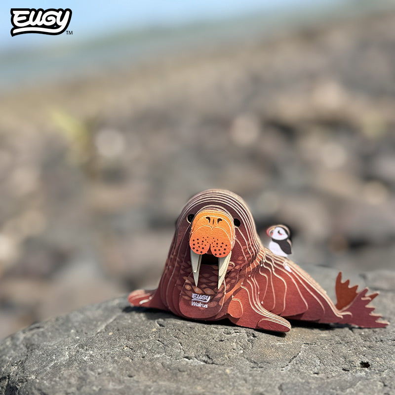 107 Walrus