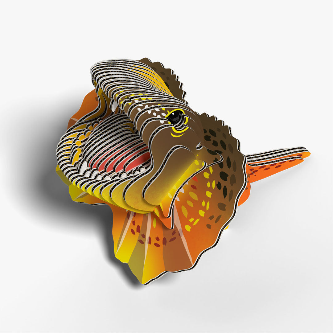 108 Frilled Lizard