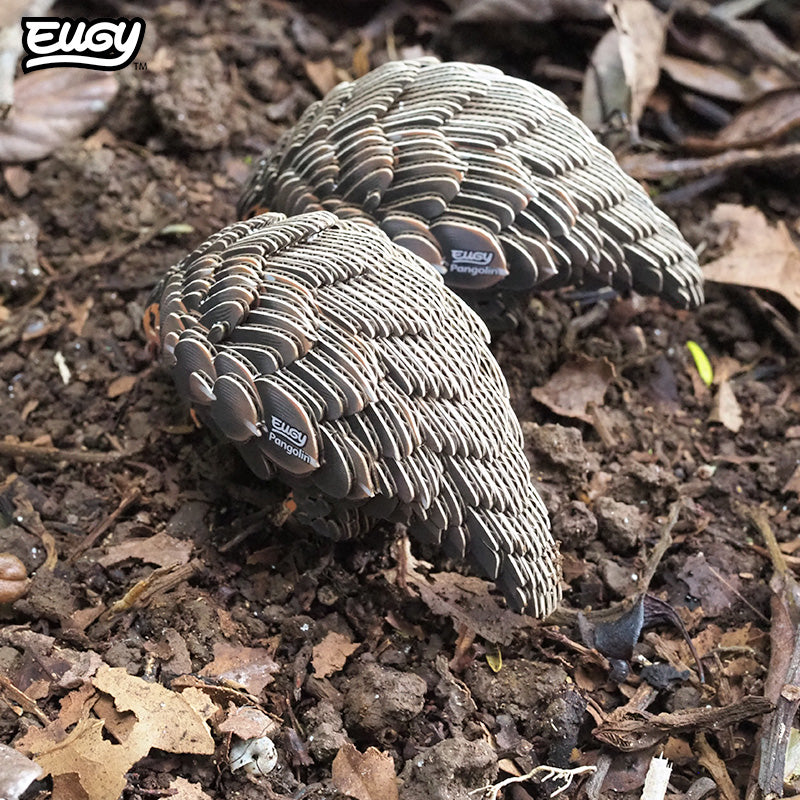 110 Pangolin