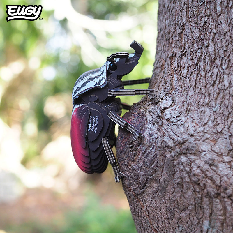 111 Goliath Beetle