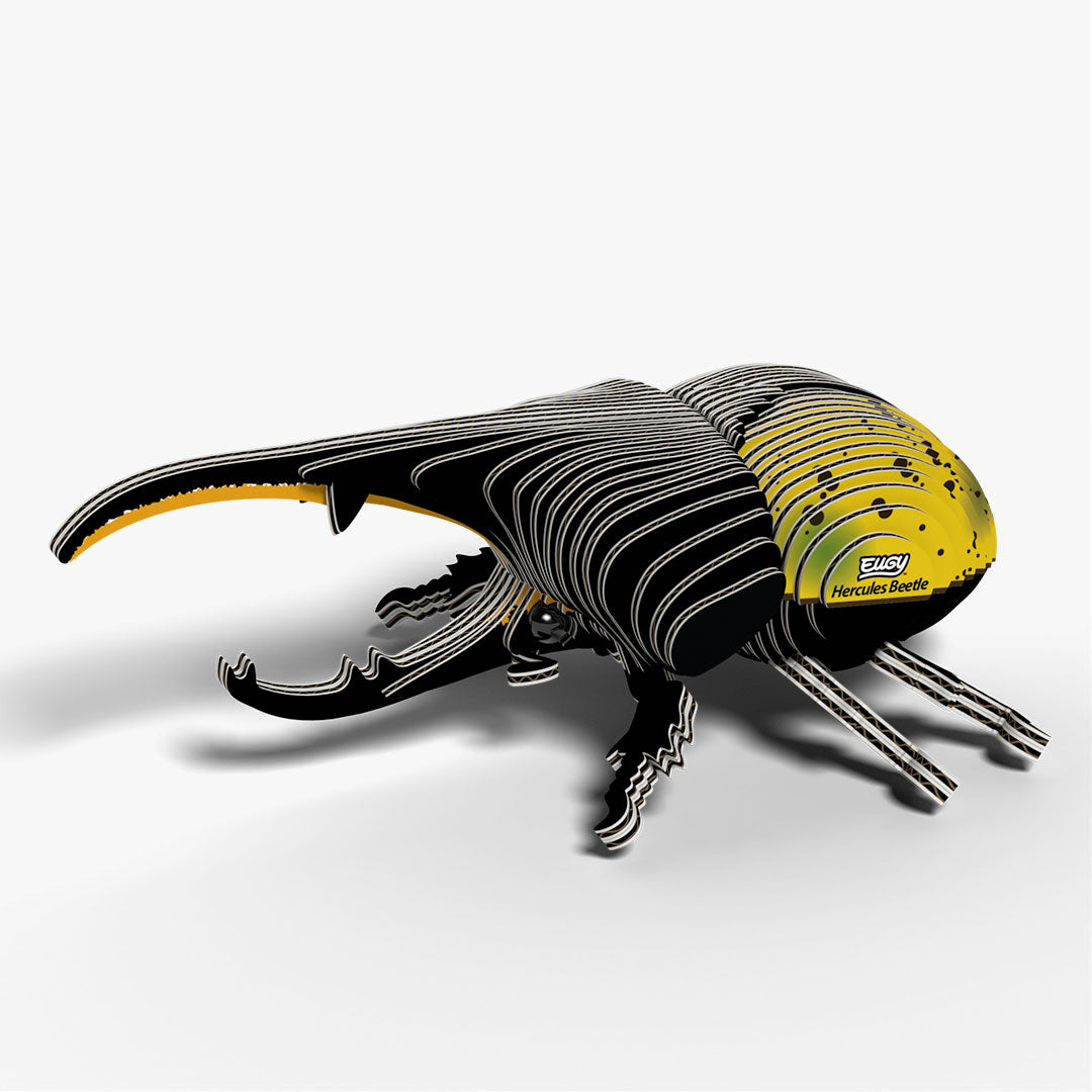 112 Hercules Beetle