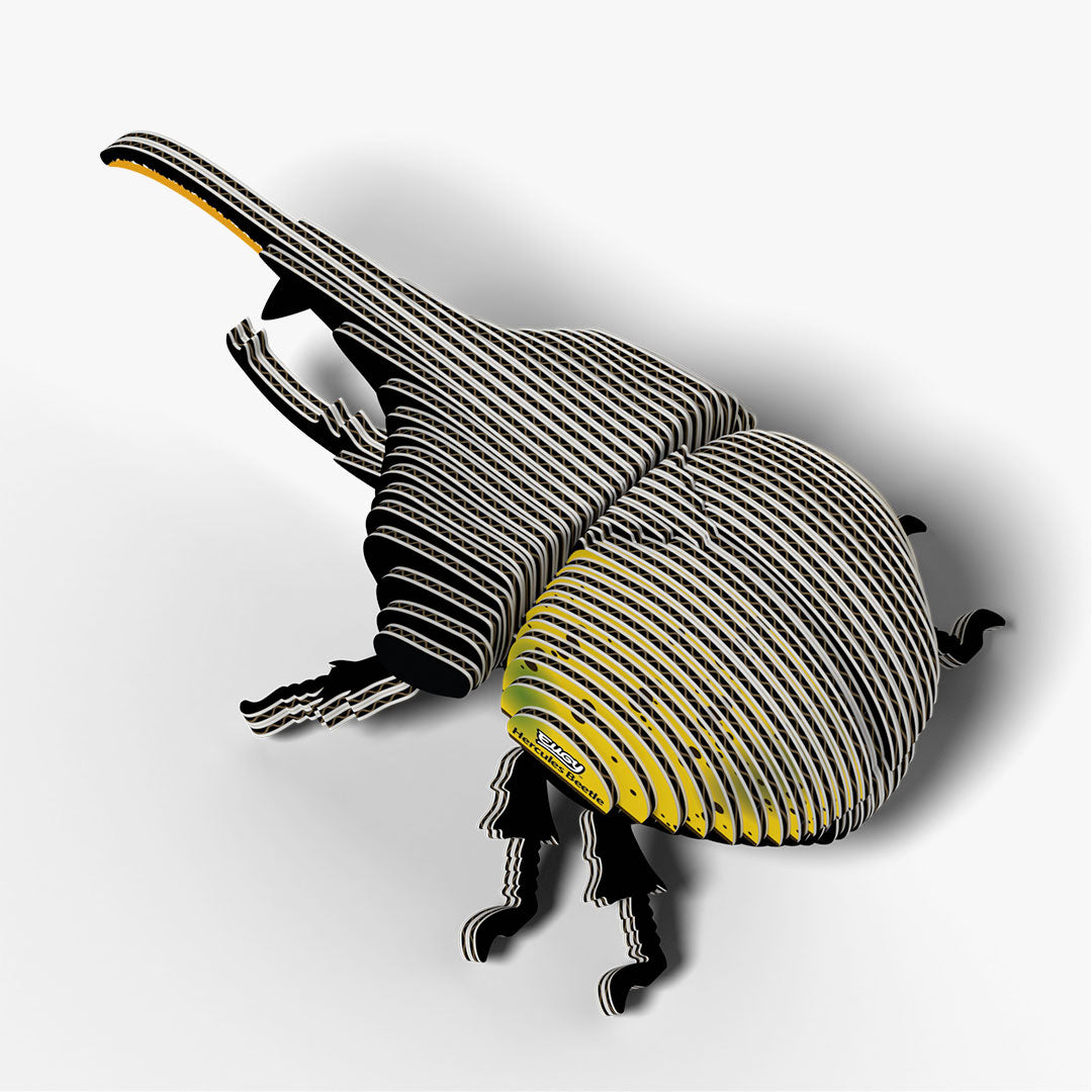 112 Hercules Beetle