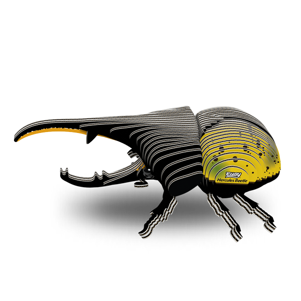 112 Hercules Beetle