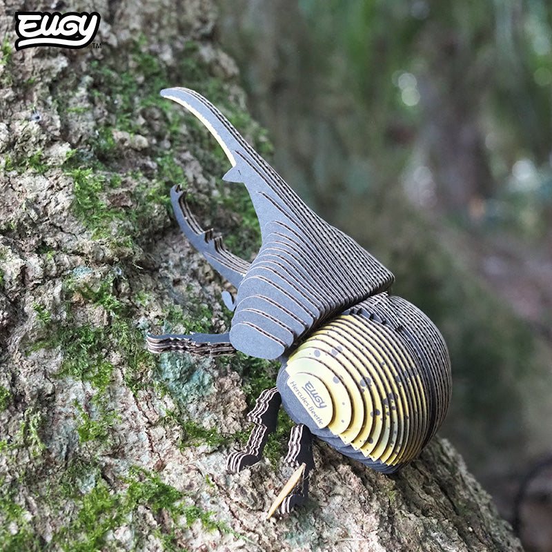 112 Hercules Beetle