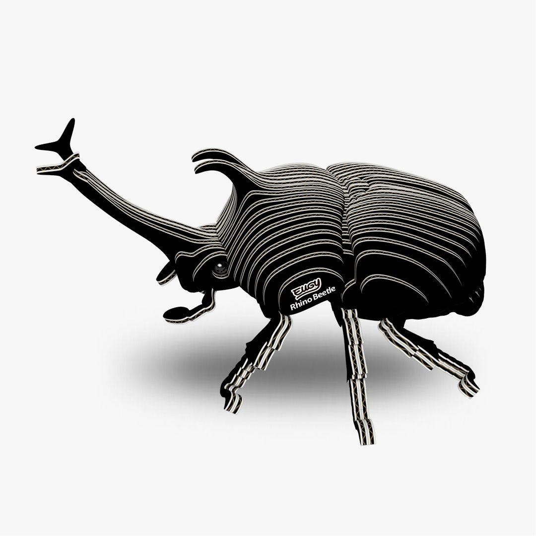113 Rhino Beetle