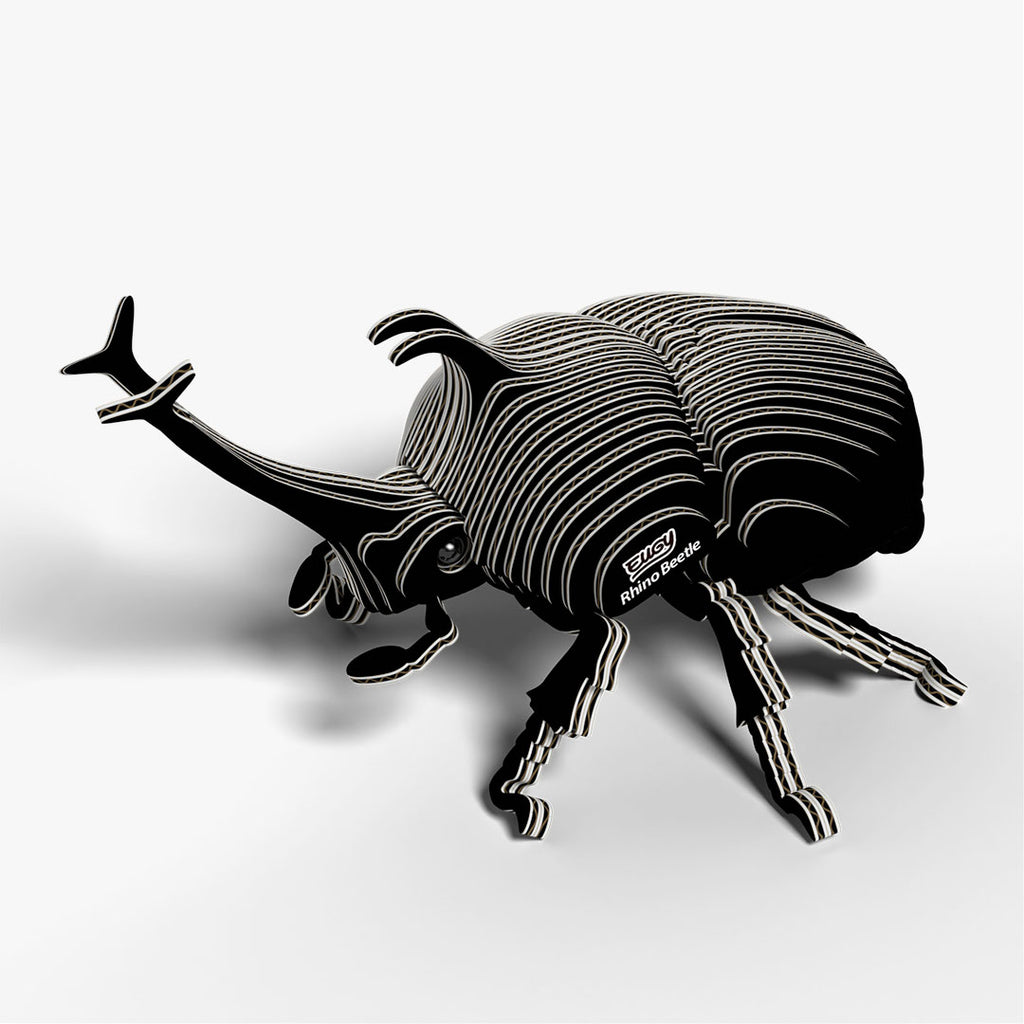113 Rhino Beetle