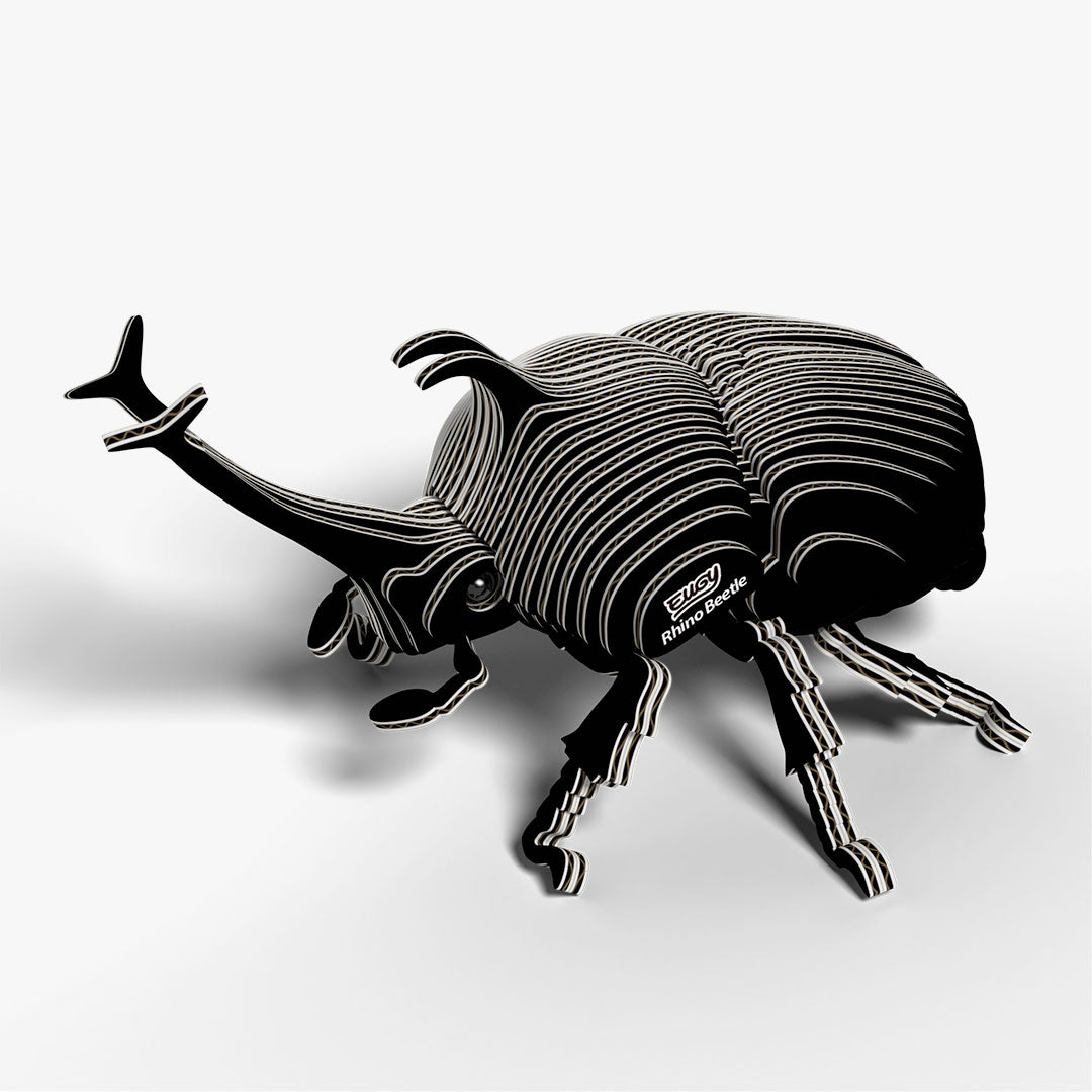 113 Rhino Beetle