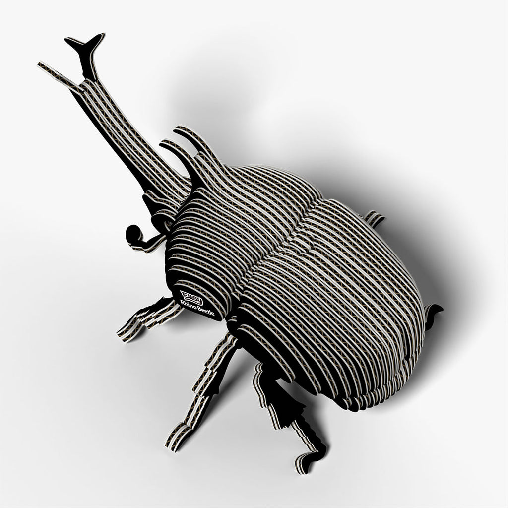 113 Rhino Beetle