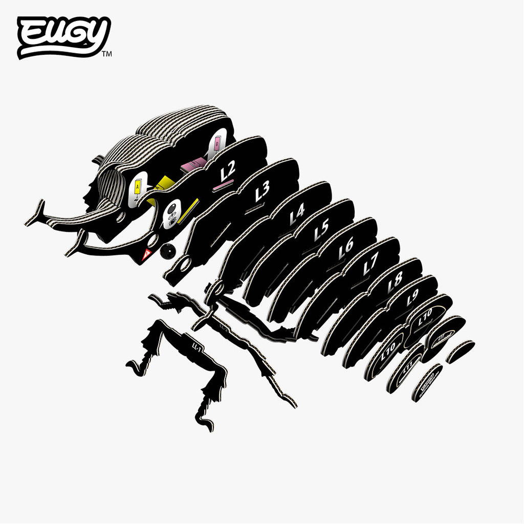 113 Rhino Beetle