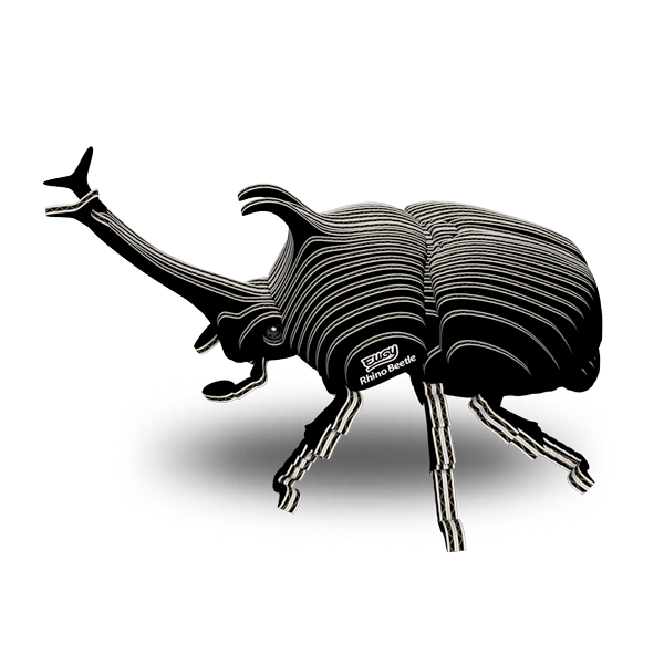 113 Rhino Beetle