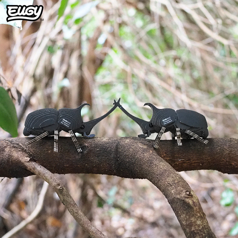 113 Rhino Beetle