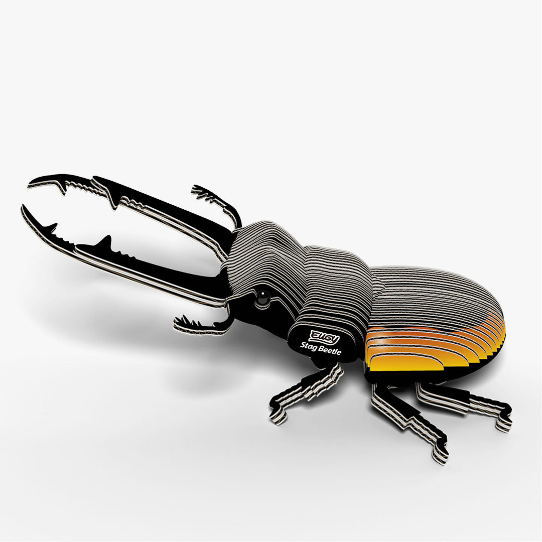 114 Stag Beetle