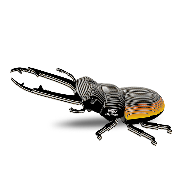 114 Stag Beetle