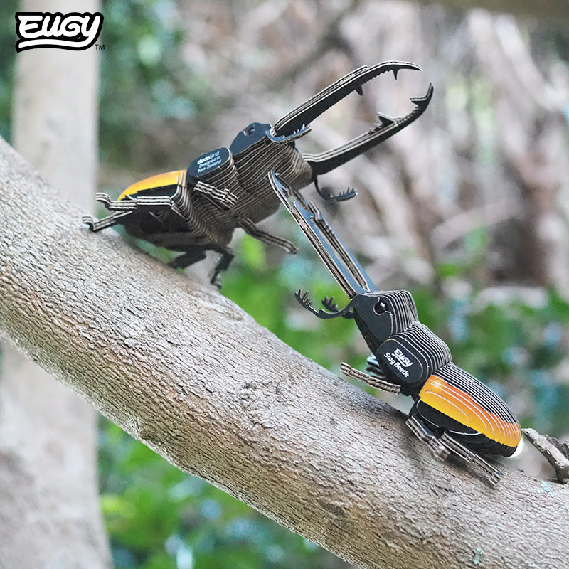 114 Stag Beetle