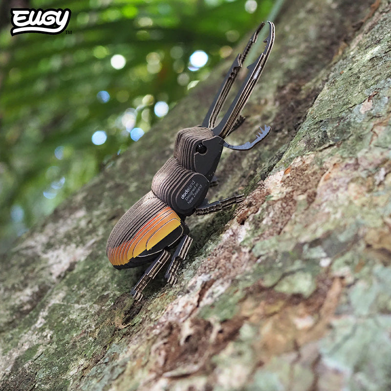 114 Stag Beetle
