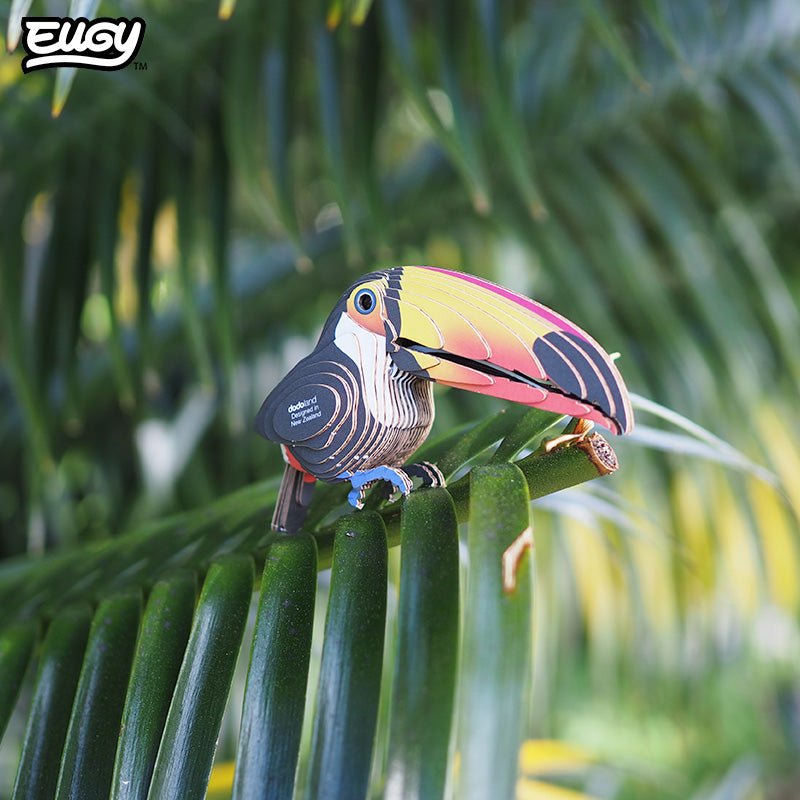 115 Toucan