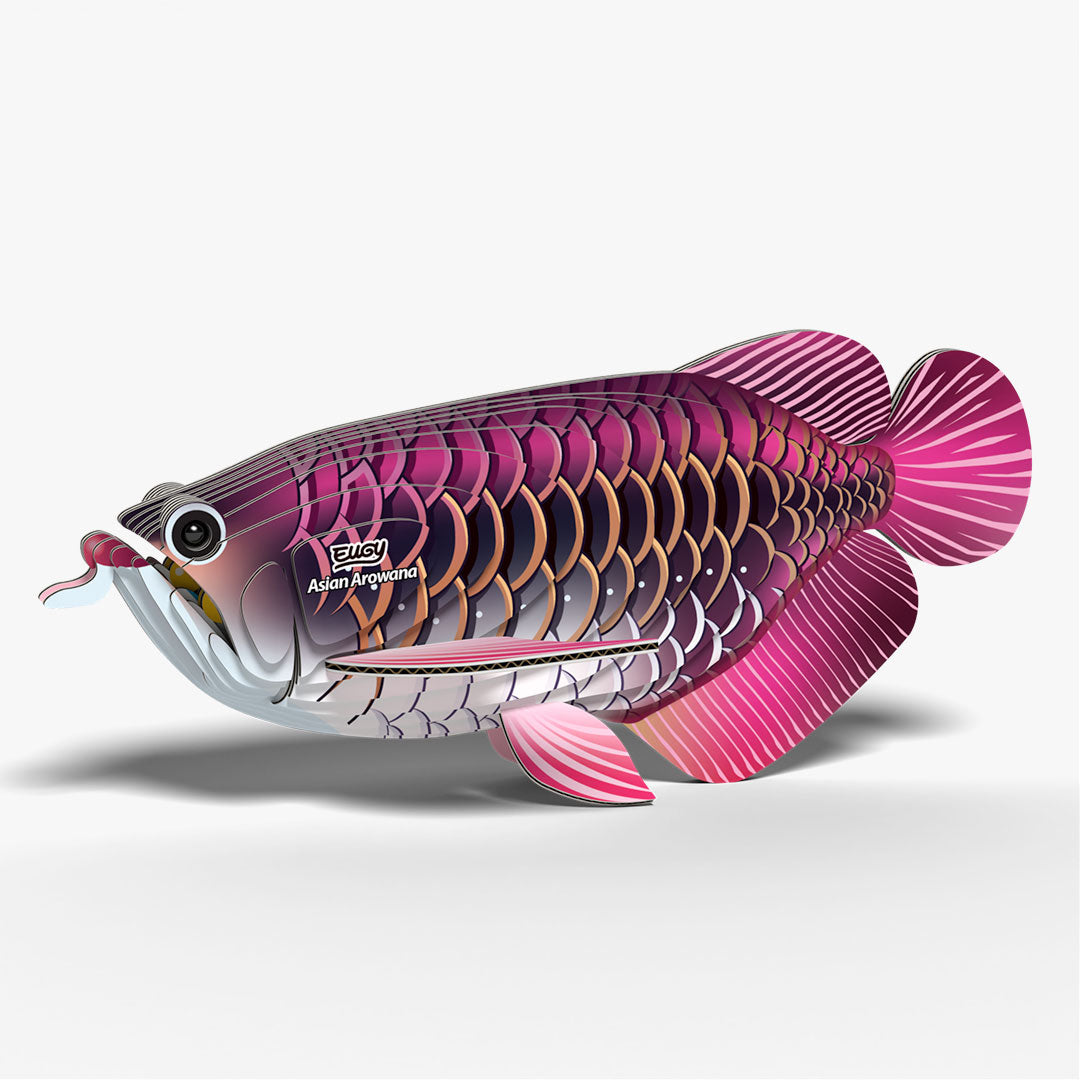 118 Asian Arowana