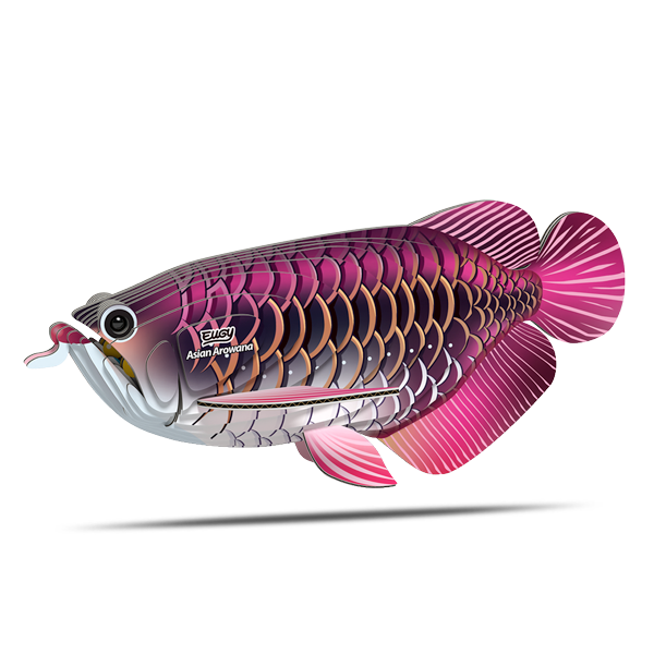 118 Asian Arowana