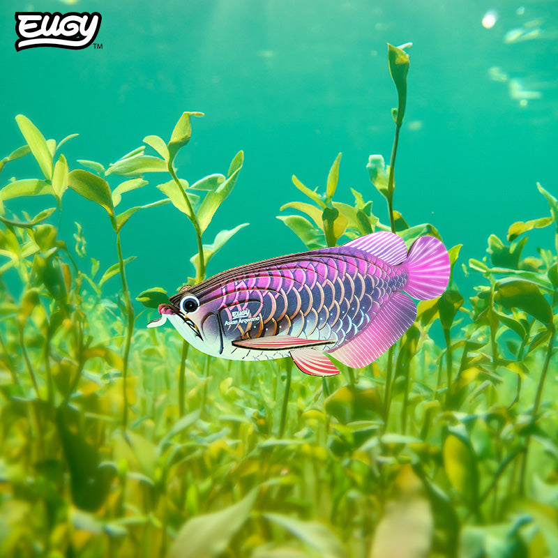 118 Asian Arowana