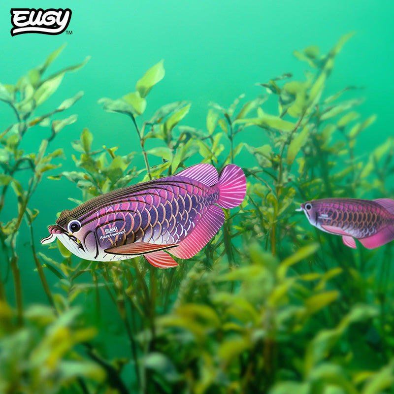 118 Asian Arowana