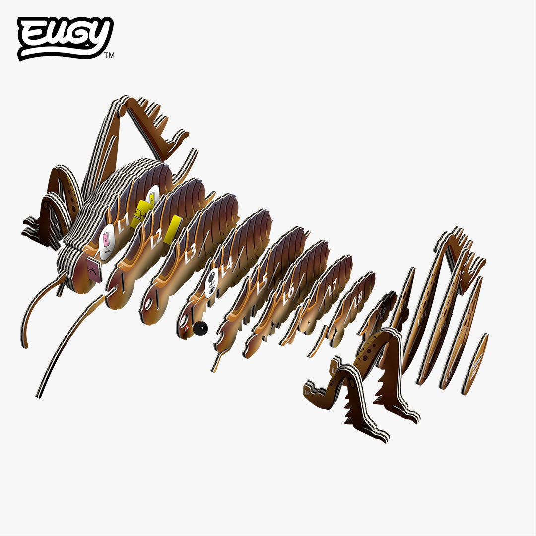 119 Giant Wētā