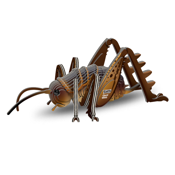 119 Giant Weta