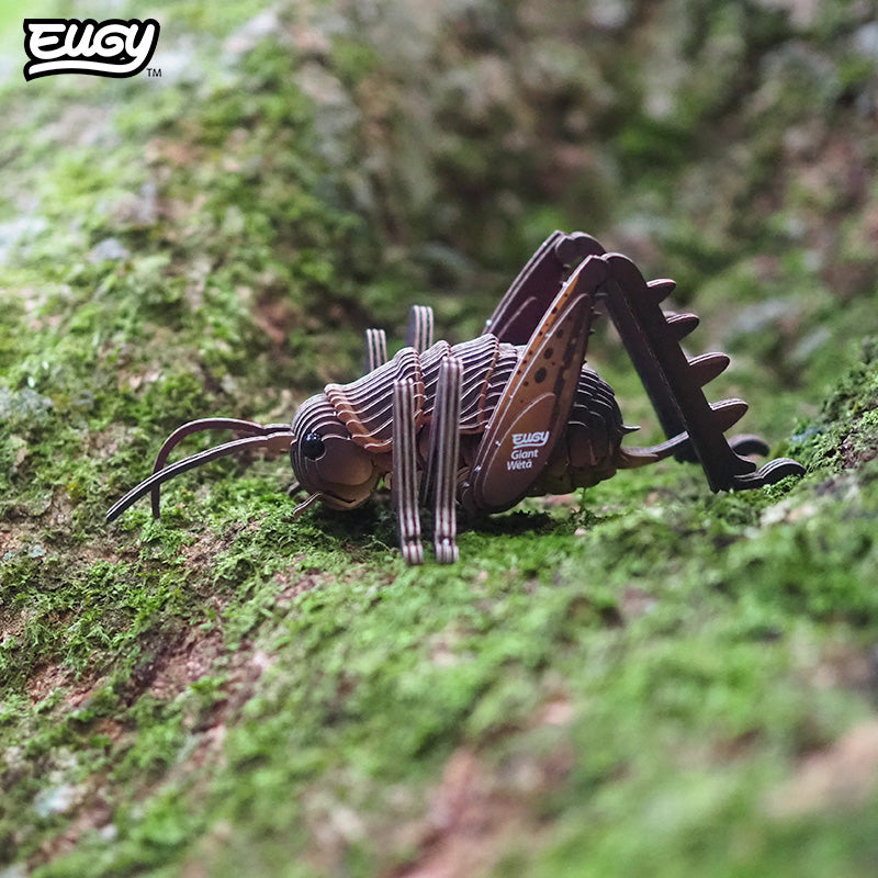 119 Giant Wētā