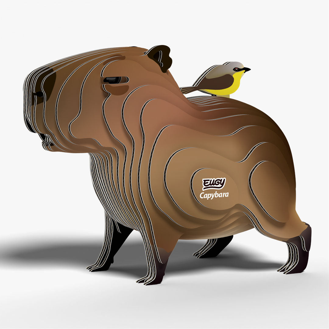 120 Capybara