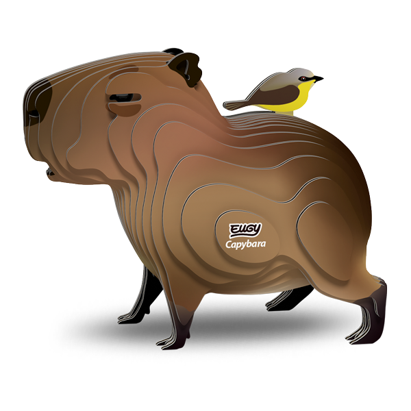 120 Capybara
