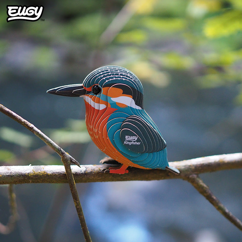 121 Kingfisher