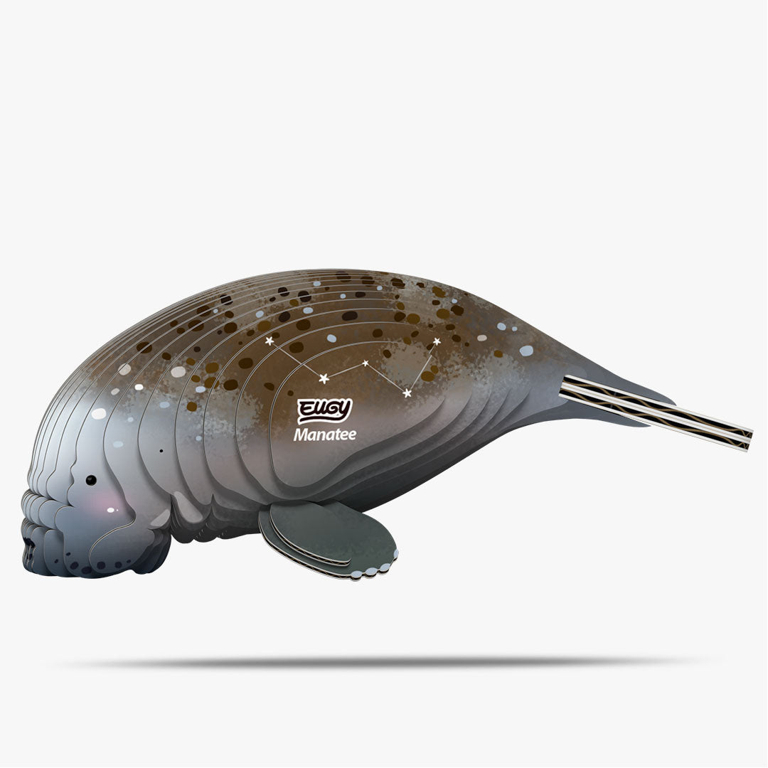 122 Manatee