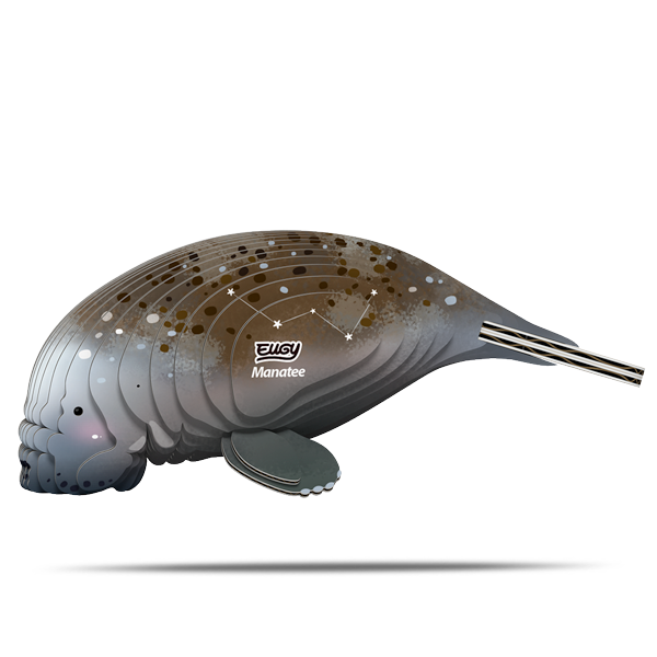 122 Manatee