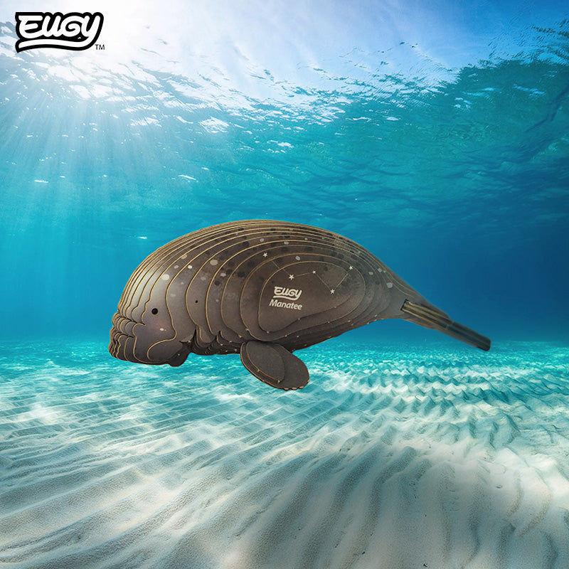 122 Manatee