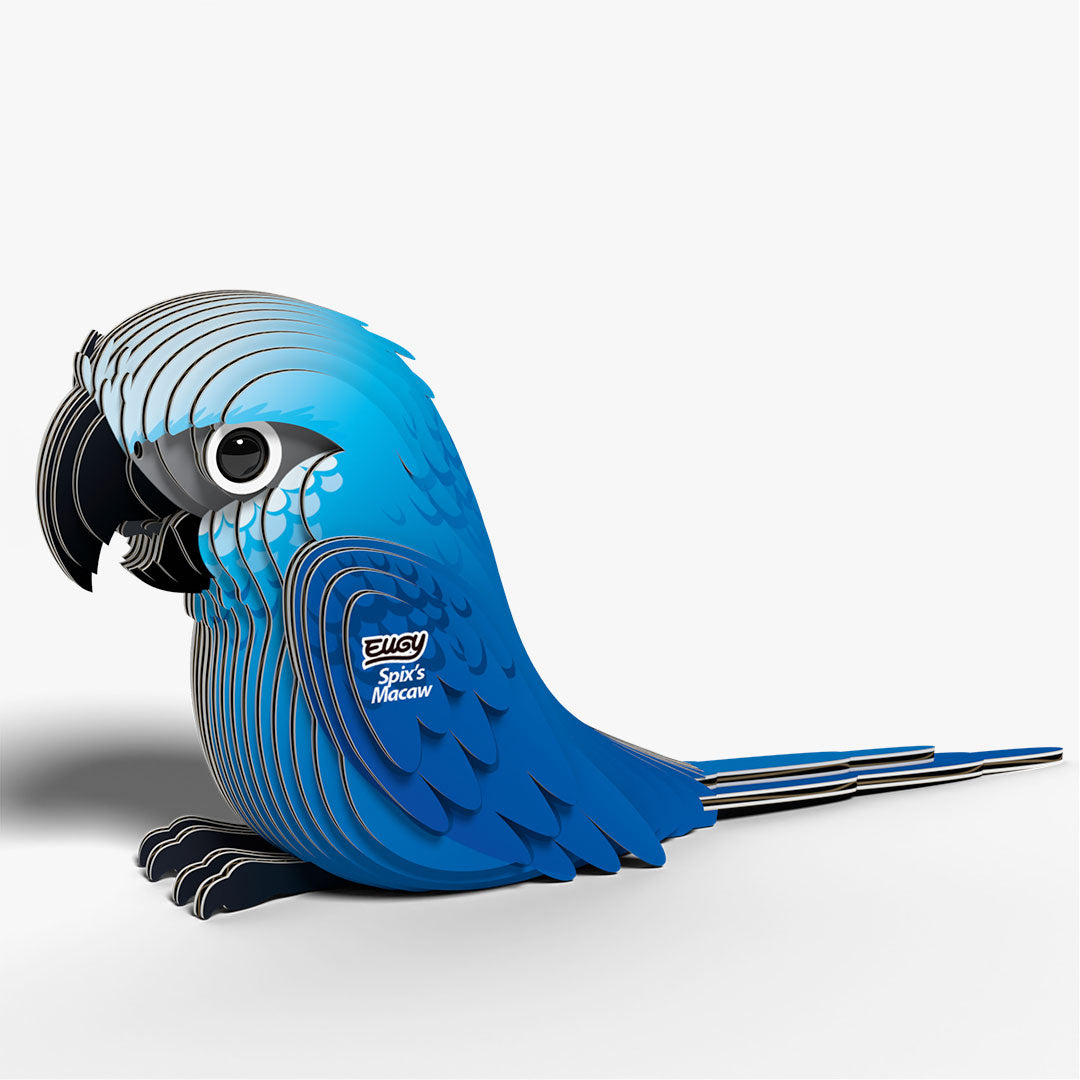 123 Spix's Macaw