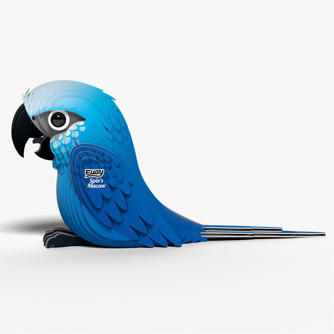 123 Spix's Macaw