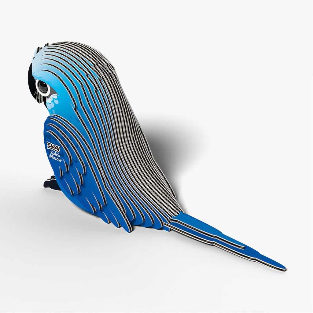 123 Spix's Macaw