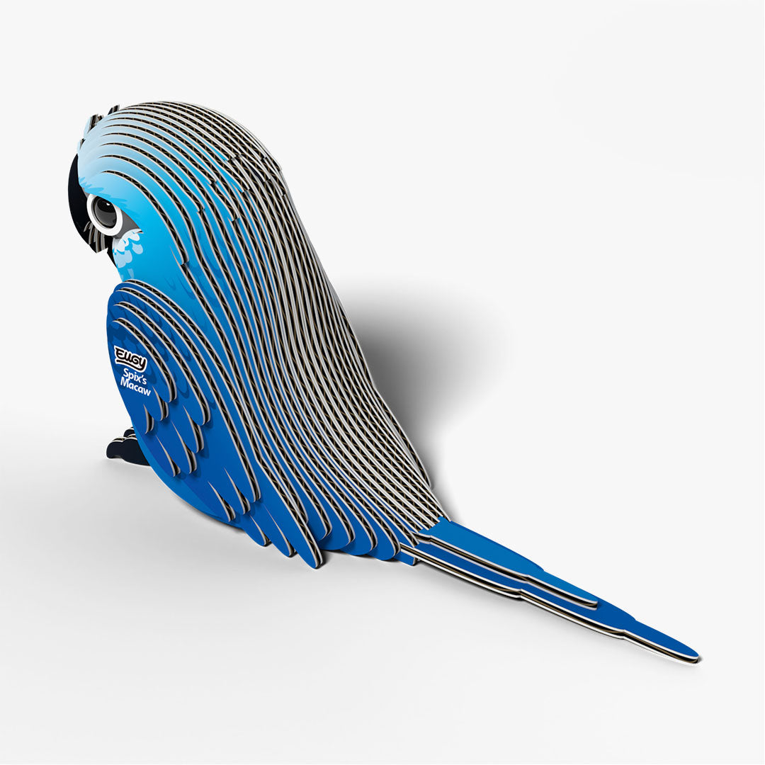 123 Spix's Macaw