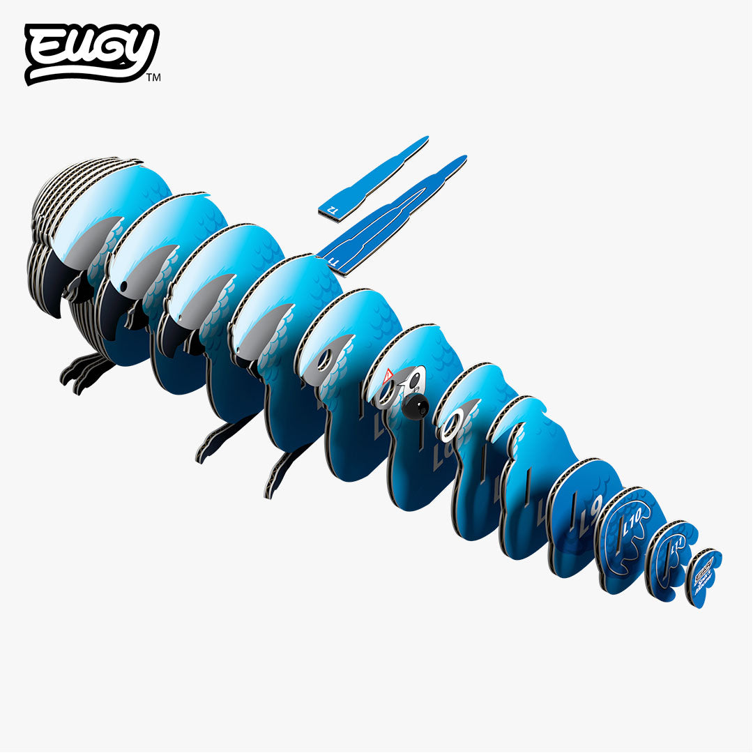 123 Spix's Macaw