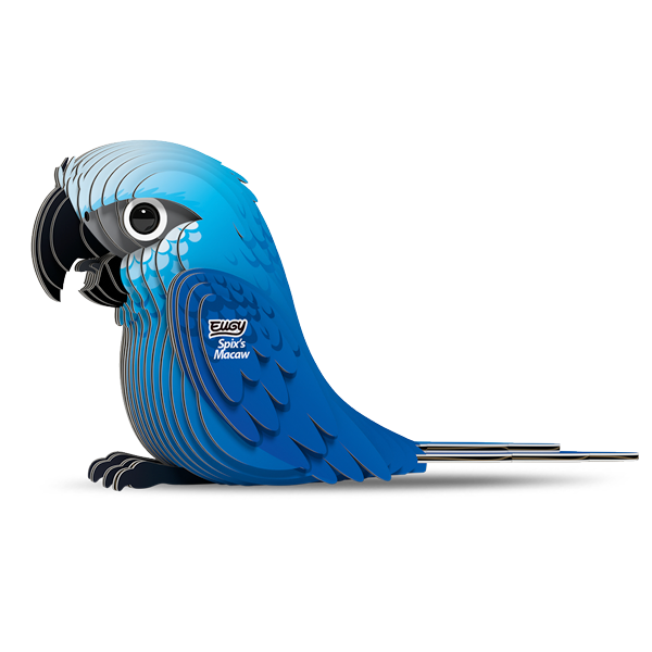 123 Spix's Macaw