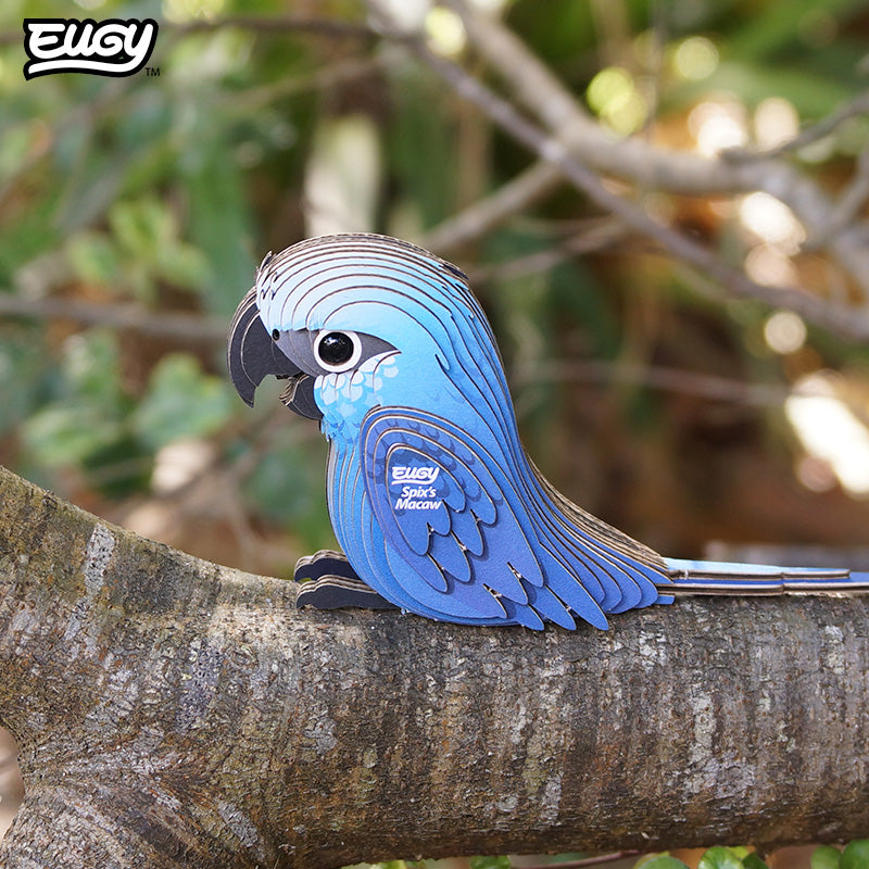 123 Spix's Macaw