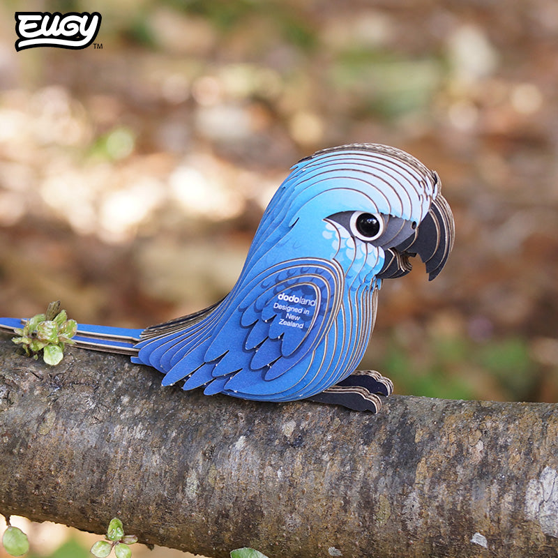 123 Spix's Macaw