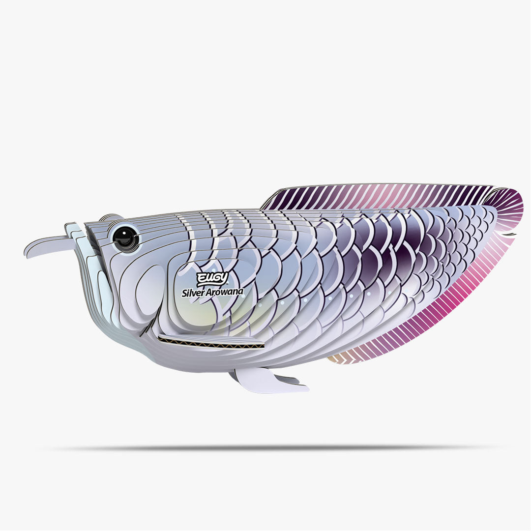 124 Silver Arowana