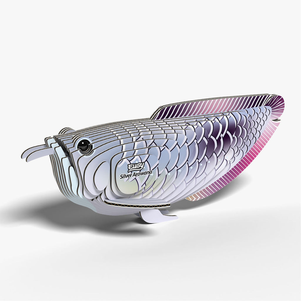 124 Silver Arowana