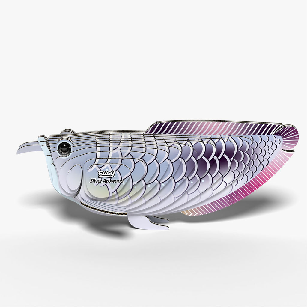 124 Silver Arowana