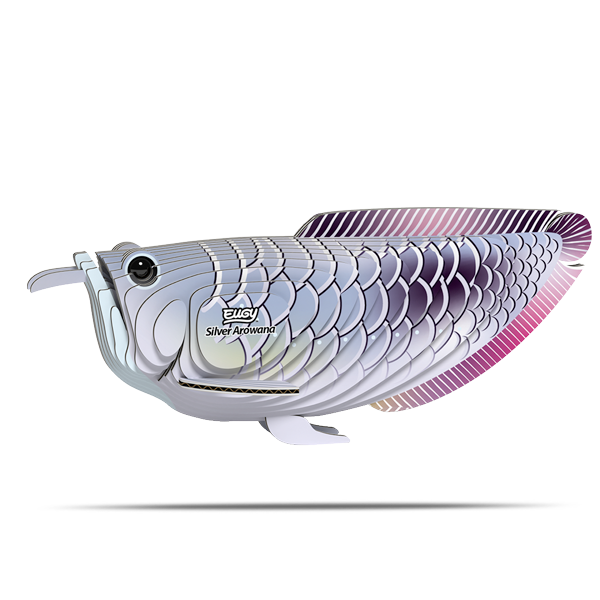 124 Silver Arowana